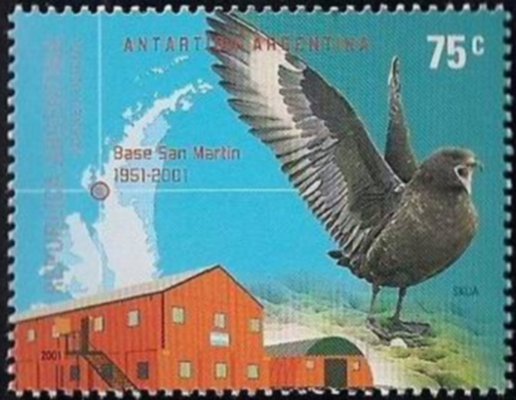 Great Skua (Catharacta skua), Research Station San Martin