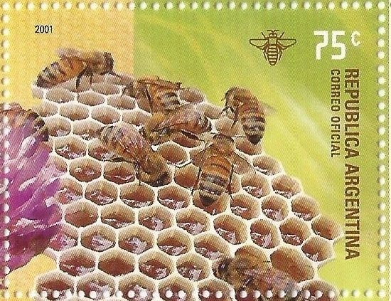 Honey Bee (Apis mellifica) on Honeycomb