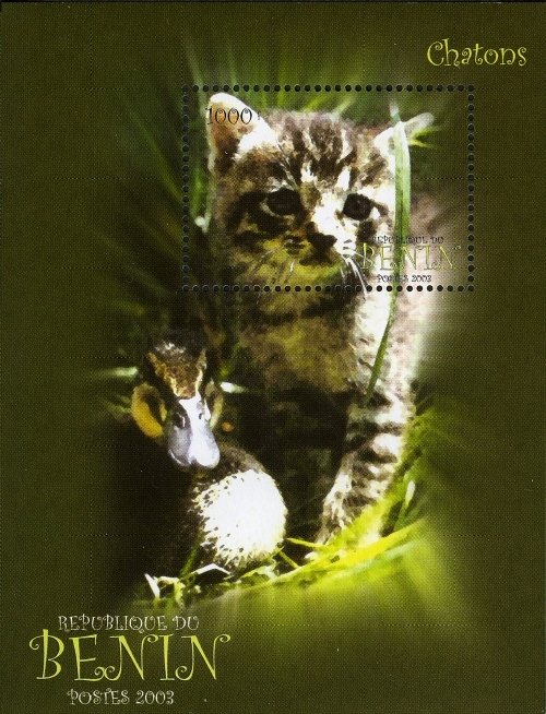 Cats
