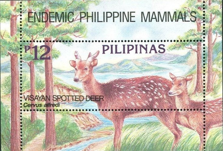 Prince Alfred's Spotted Deer (Cervus alfredi)