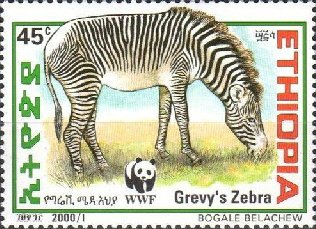 Stamp, Grevy’s zebra, Ethiopia,  , Animals (Fauna), Mammals, WWF, Zebras