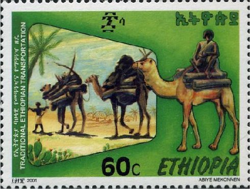 Camel caravan