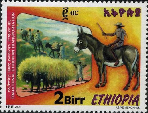 Man on donkey, donkeys carrying goods