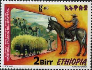 Stamp, Man on donkey, donkeys carrying goods, Ethiopia,  , Donkeys, Transport