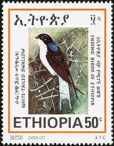Stamp, White-tailed swallow, Ethiopia,  