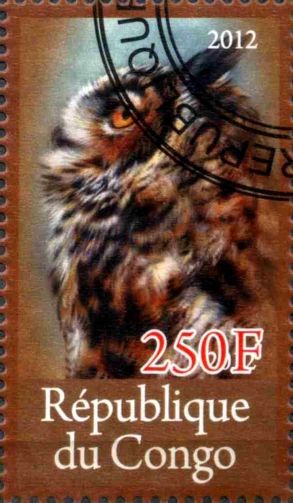 Owl