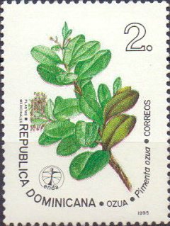Pimenta ozua