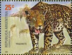 Stamp, Chilean Cat (Felis guigna), Argentina,  , Animals (Fauna), Cats, Mammals