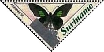 Emerald-patched Cattleheart (Parides sesostris)