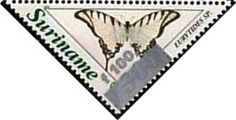 Kite Swallowtail (Eurytides sp.)