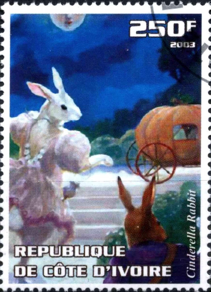 Cinderella Rabit