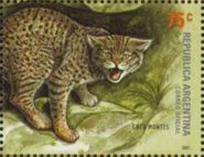 Stamp, Small spotted cat (Felis geoffroyi), Argentina,  , Animals (Fauna), Cats of Prey, Cougars, Mammals