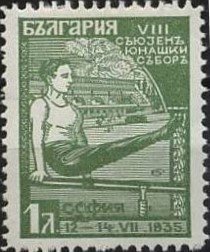 Gymnastics Bars