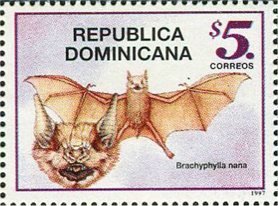 Bats