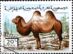 Stamp, Camelus bactrianus, Cinderellas,  , Camels
