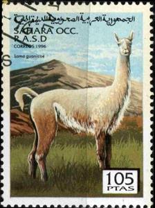 Stamp, Lama guanacoe, Cinderellas,  , Animals (Fauna)