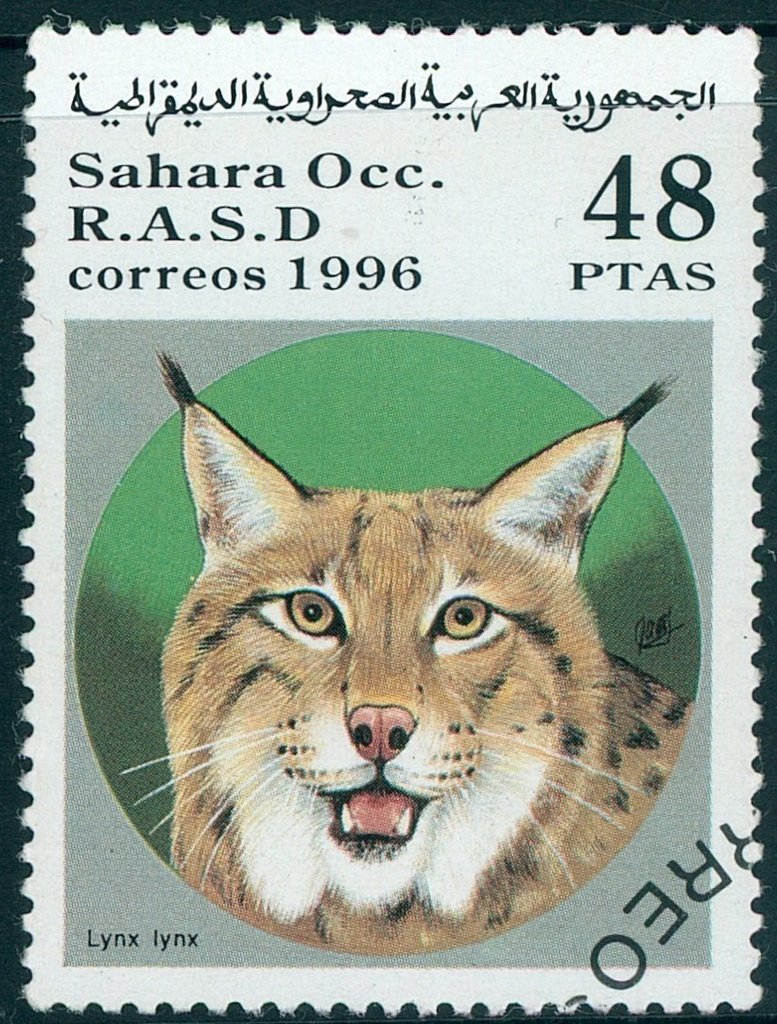 Lynx lynx