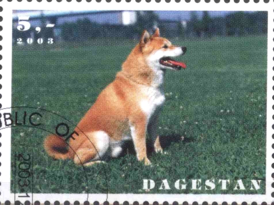Dogs