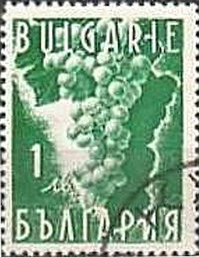 Grapes (Vitis vinifera)