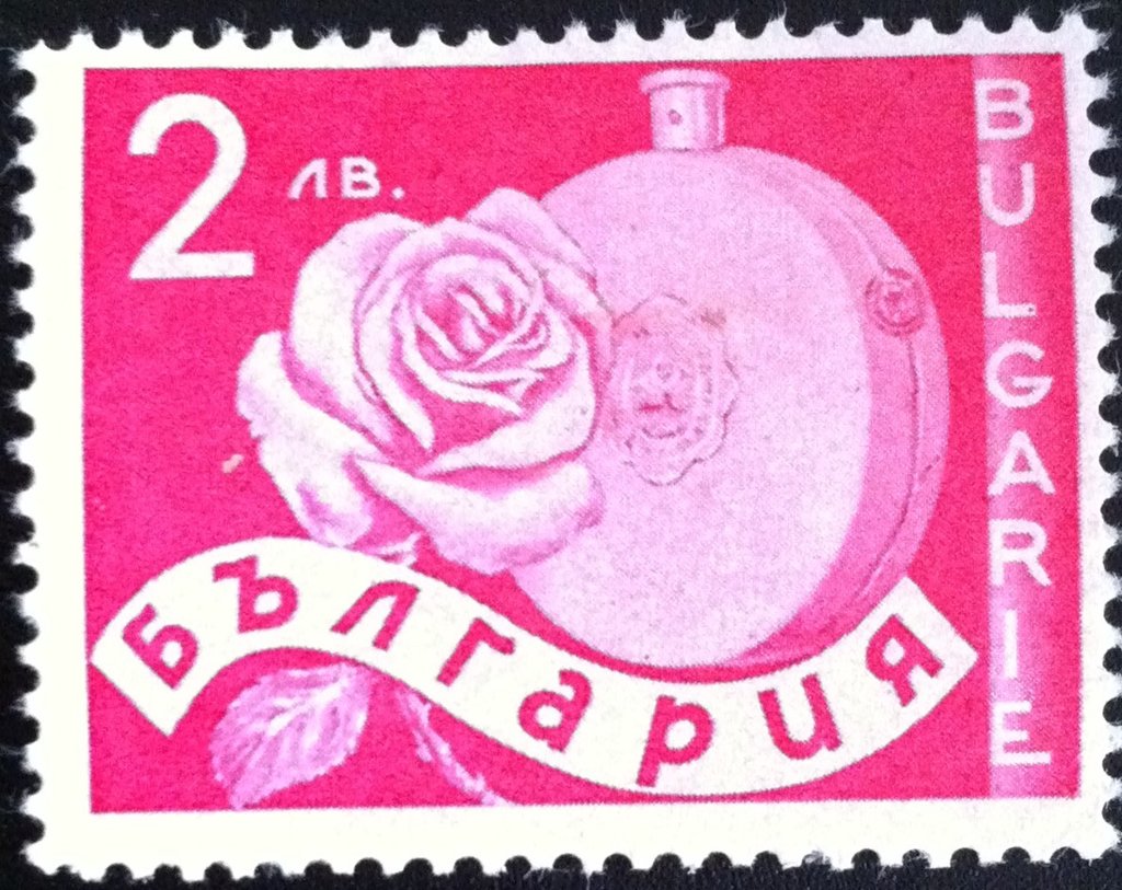 Rose and Bottle of Rose Oil
