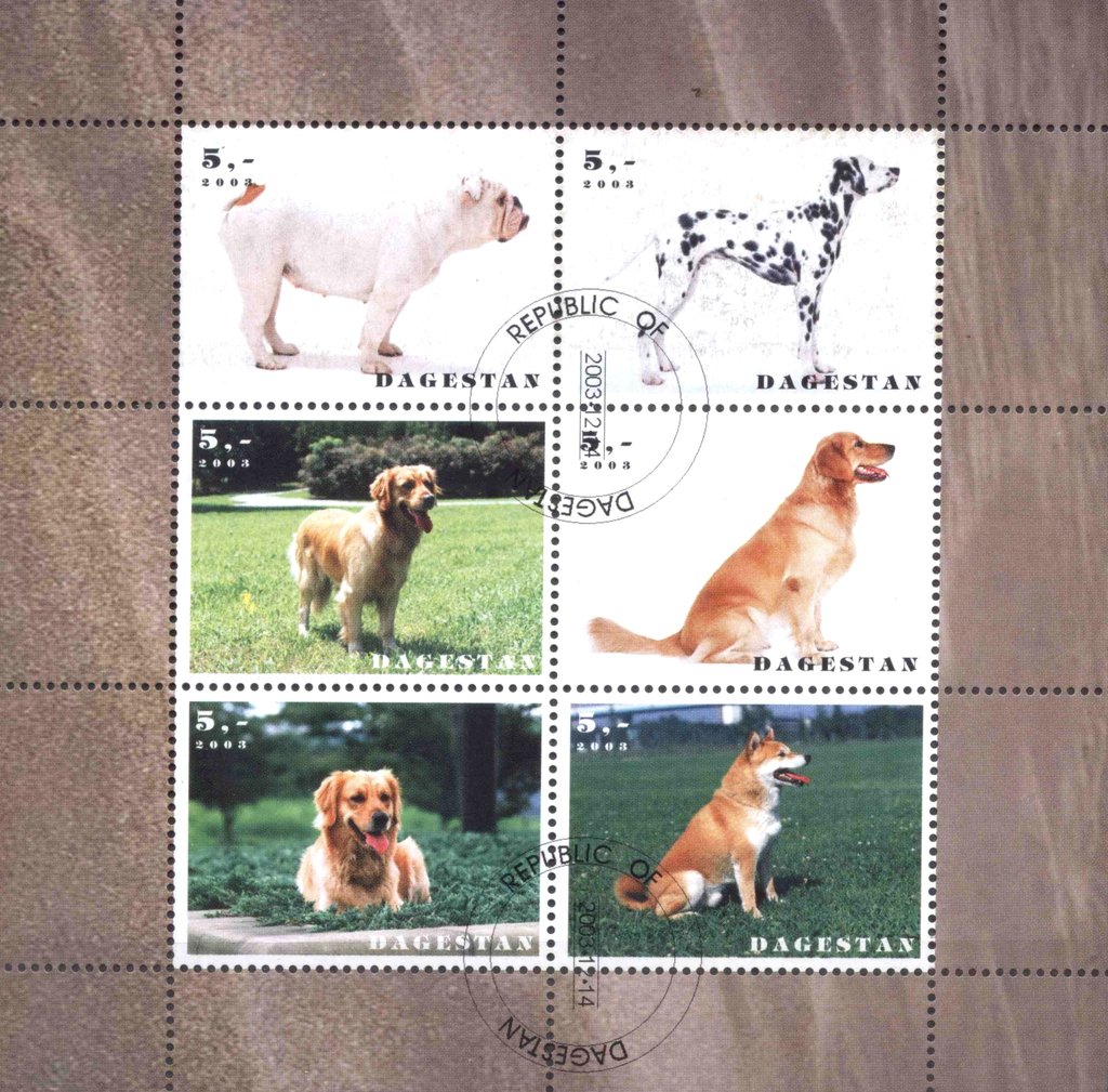 Dogs