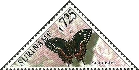Palamedes Swallowtail (Papilio palamedes)