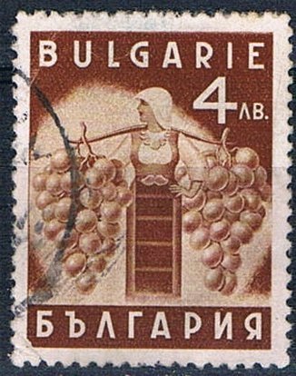 Grapes