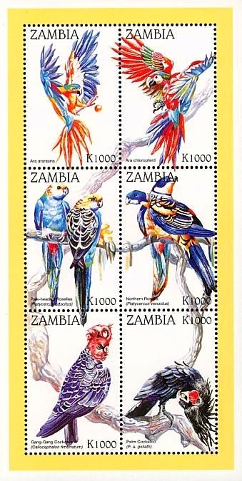 Parrots