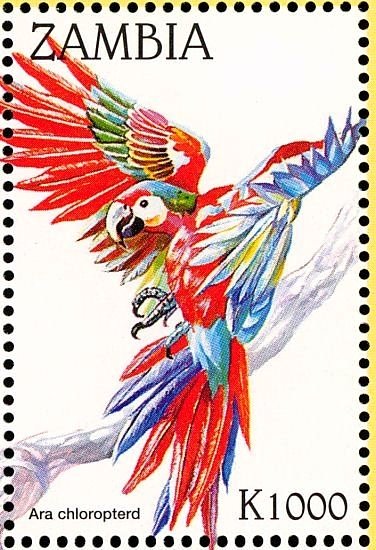 Red-and-green Macaw - Ara chloropterus
