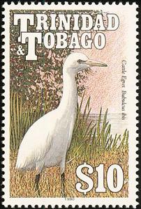 Stamp, Cattle Egret (Bubulcus ibis), Trinidad and Tobago,  