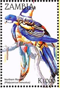 Stamp, Northern Rosella - Platycercus venustus, Zambia,  , Birds, Parrots