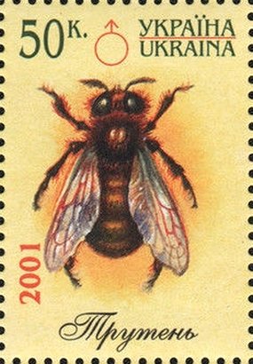 Stamp, Bee (Apis sp.) - Drone, Ukraine,  , Animals (Fauna), Bees, Insects