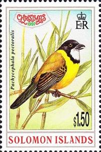 Stamp, Pachycephala pectoralis, Solomon Islands,  , Birds, Christmas