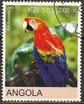 Parrots