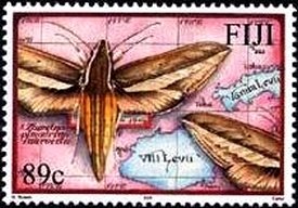Moths