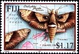Moths