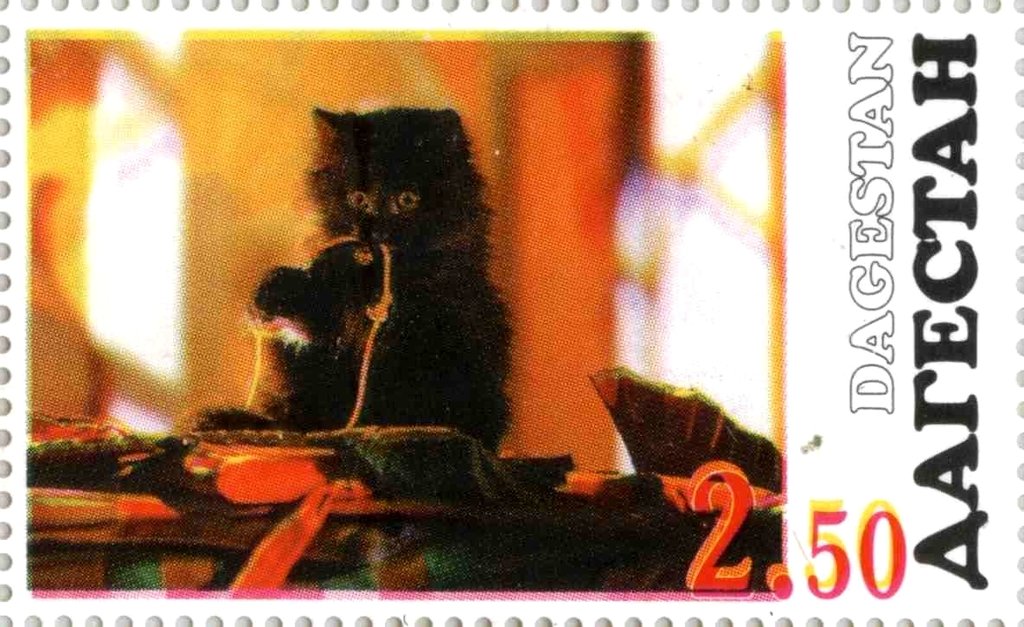 Cats