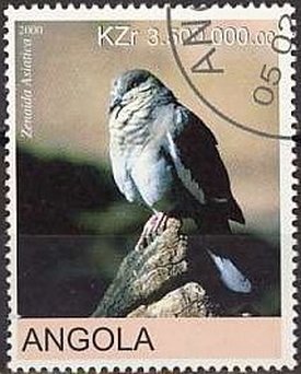 Doves