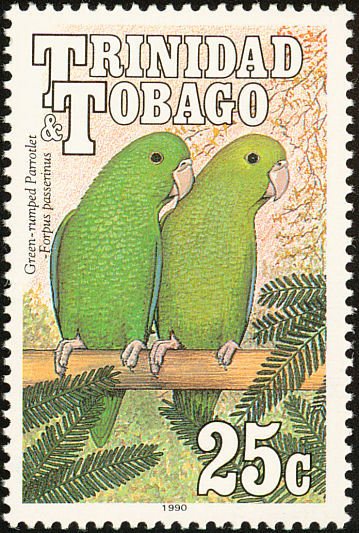 Green-rumped Parrotlet (Forpus passerinus)