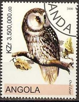 Owls