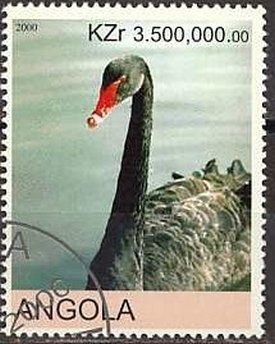 Swans