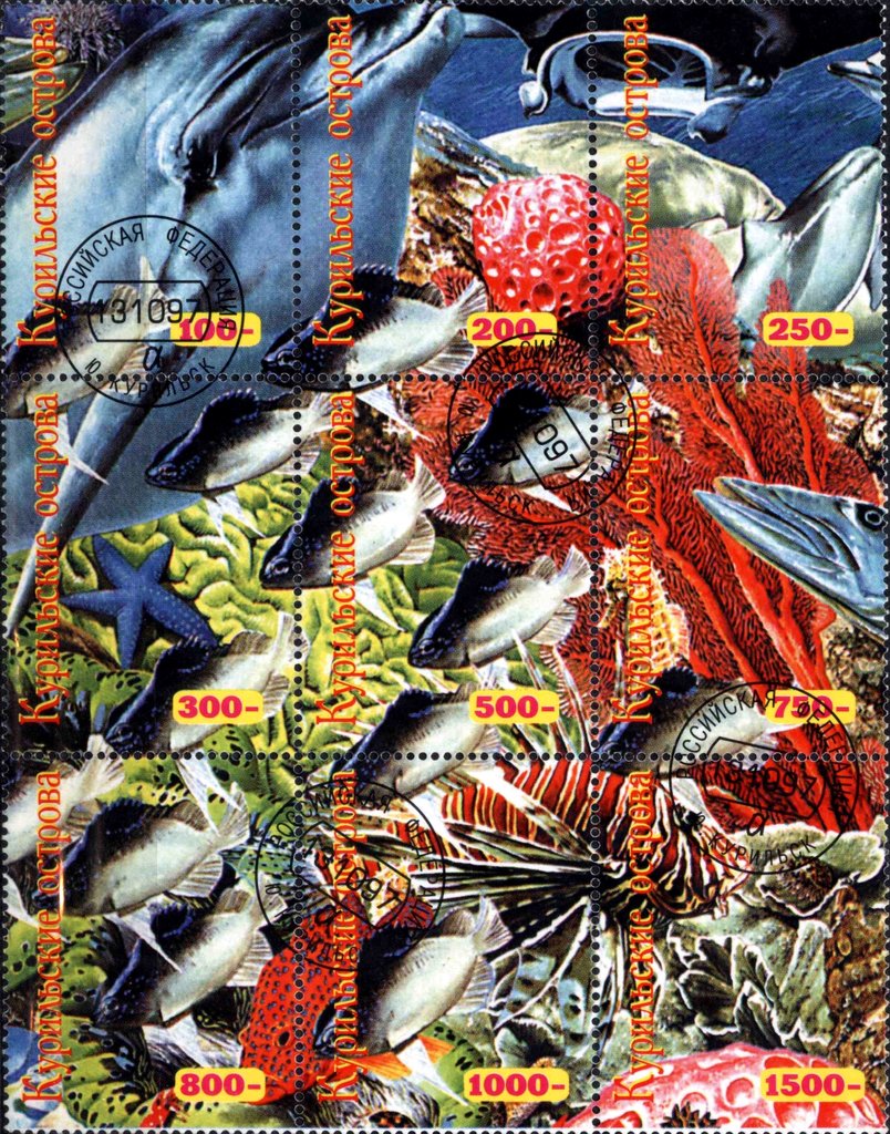 Fauna Marine