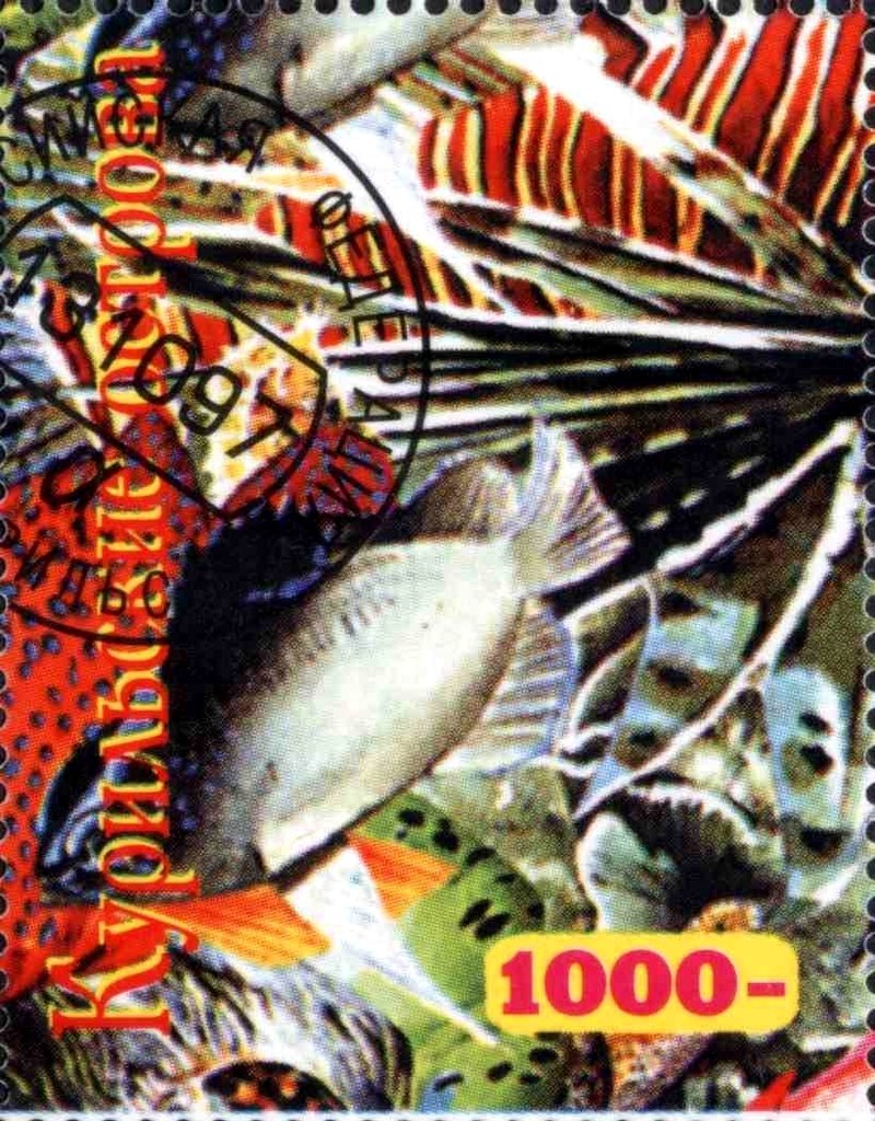 Fauna Marine