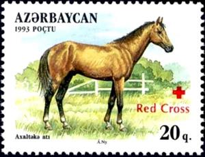 Stamp, Akhalteki Horse (Equus ferus caballus), Azerbaijan,  , Animals (Fauna), Horses, Mammals, Red Cross and Red Crescent