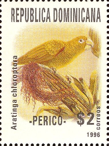 Aratinga chloroptera