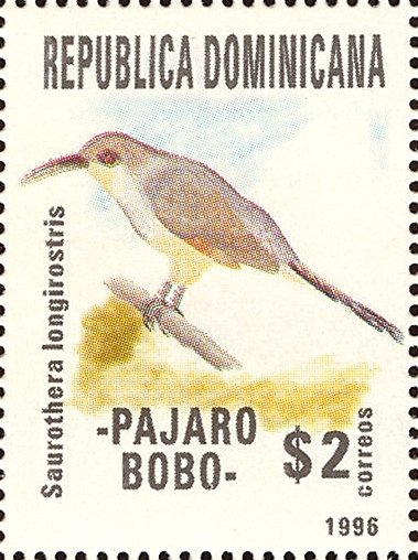 Saurothera vetula longirostris