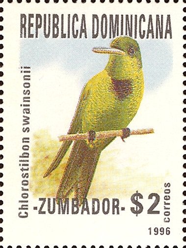 Chlorostolbon swainsonii