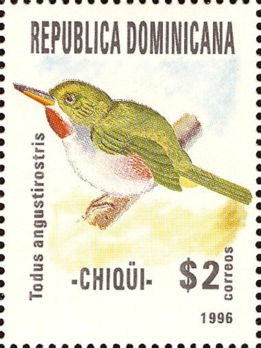 Todus angustinostrus