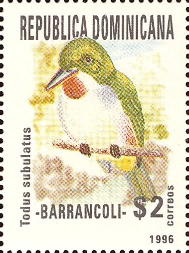 Todus subulatus