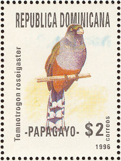 Temnotrogon roseigaster